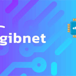 Gibnet Unlimited - 3 days