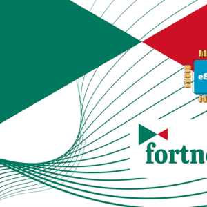 Fortnet 1 GB - 7 days